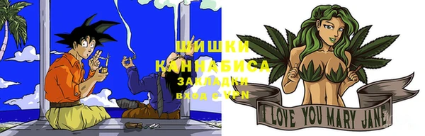 твердый Сосновый Бор