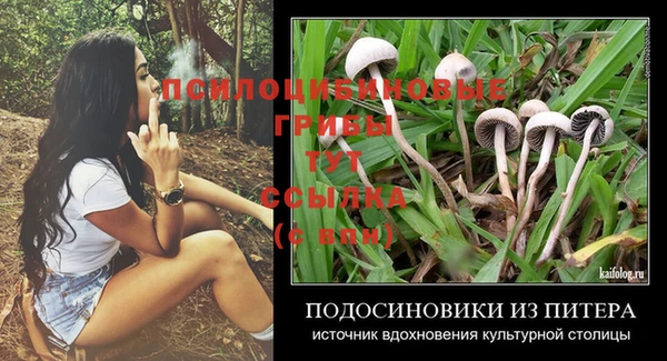 скорость Липки